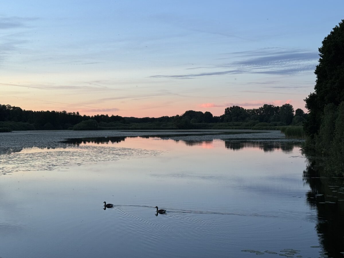 Abendsonne über dem Herrenteich in Reinfeld