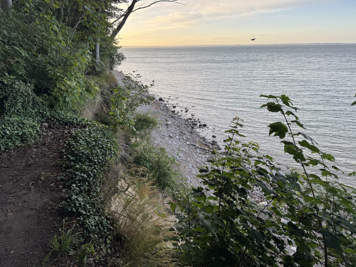 Foto vom oberen Rand der Steilküste hinunter fotografiert auf die Ostsee. Steilufer mit Wald oben, steinigem Strand und Meer unten.