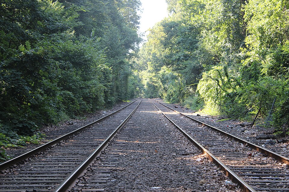 Bahnschienen im Wald